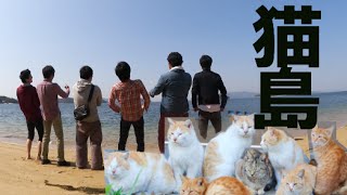 猫島どうでしょう。猫大量の島行ってみた#四国旅1日目