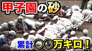 甲子園の砂は今まで何キロ持ち帰られたのか理系が計算してみたらわろたｗｗｗｗｗｗ