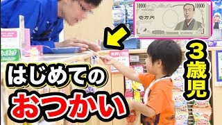 甥っ子はじめてのおつかい！！トイザらスで1万円渡したらアレを買ってきたｗｗｗｗ