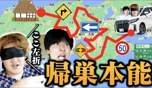 【検証】何万回と通った道なら目隠しでも実家まで帰れる説でスーパー空間把握力炸裂したｗｗｗｗｗｗｗｗｗ