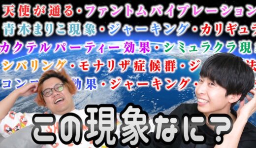 【謎すぎ】現象名だけで効果を当てろ！第一回理系版ウミガメのスープ！！！【ゆるゆる】