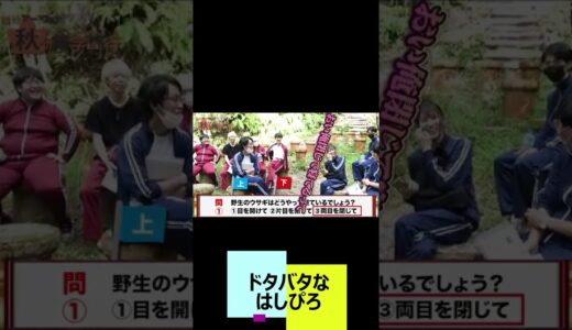 【超時間厳守修学旅行】はしけんとぴろまるのドタバタが尊すぎてやばい 　#shorts