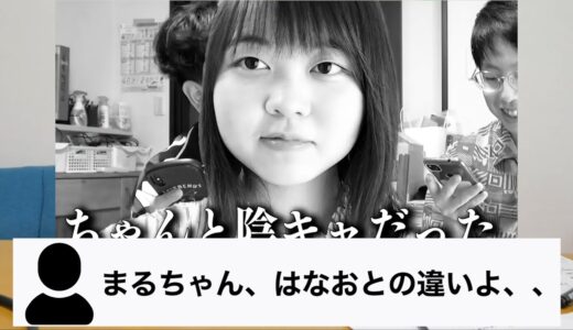 【でんがん編】まるちゃん、はなおとの違いよ、、【はなおでんがん】